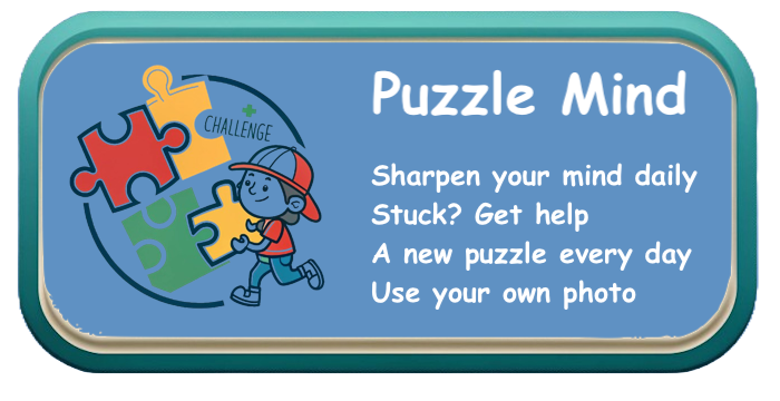 Puzzle Mind